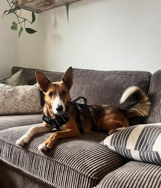 Cody möchte gerne reisen