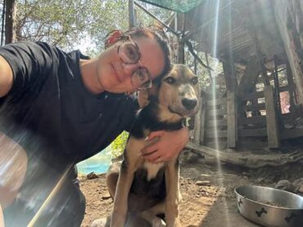 Zuhause gesucht für Ellis