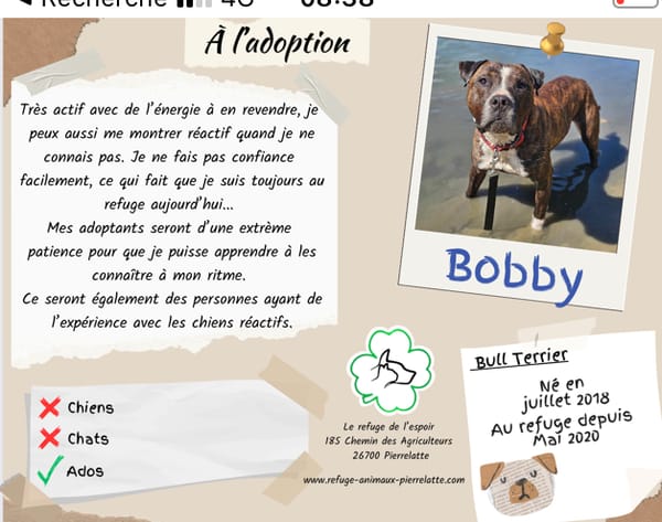 Bobby