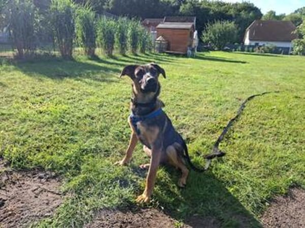 TWINKY ° Sonnenschein sucht seine Sonnenscheinfamilie