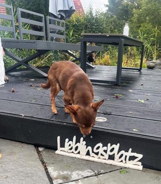 Josina ist eine gute Schülerin