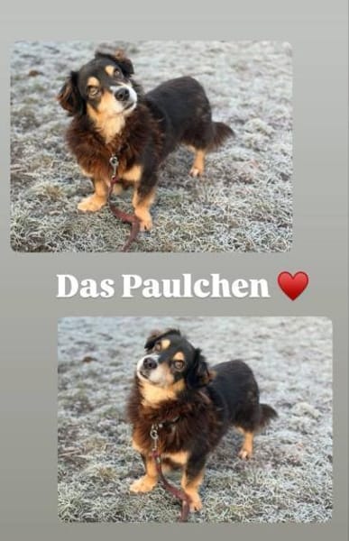 Paulchen sucht seinen Altersruhesitz