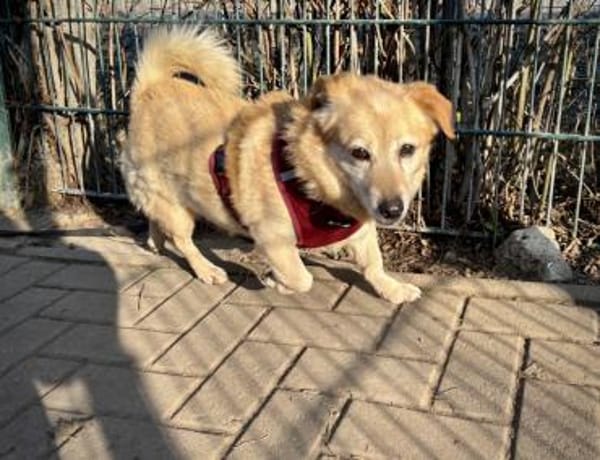 Kleiner Noah sucht liebevolles Zuhause