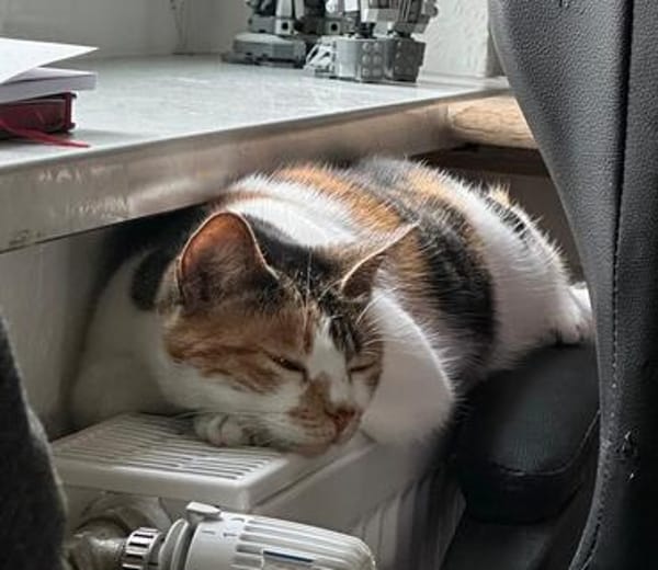 Nena, Vermittlung wirklich dringend