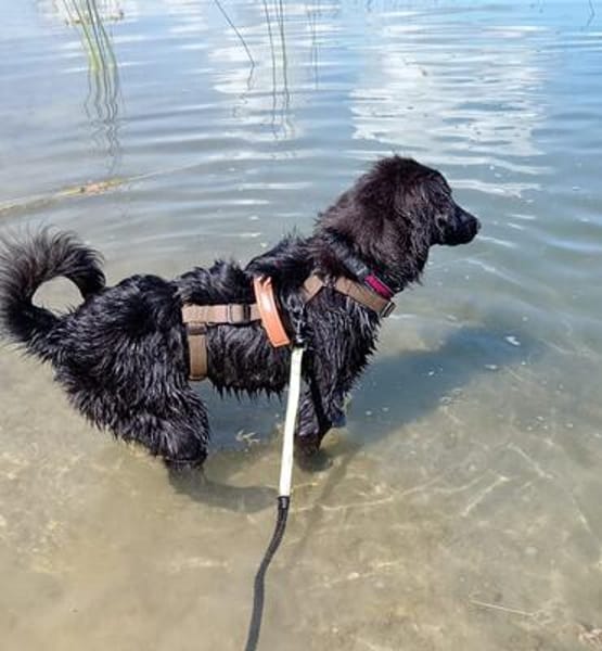 Yumi sucht ihren Traumplatz