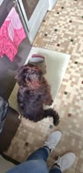 BOUBA