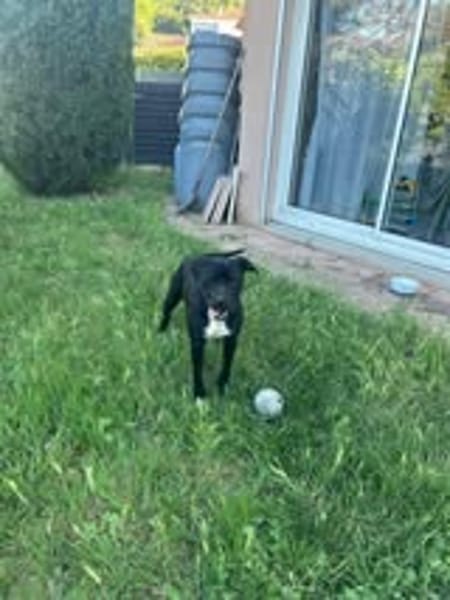 ARKO