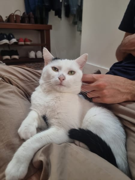 Milo