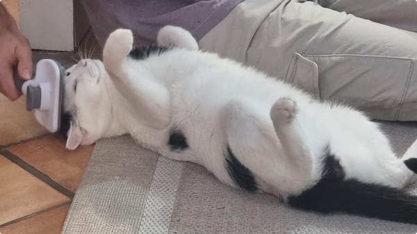 Milo