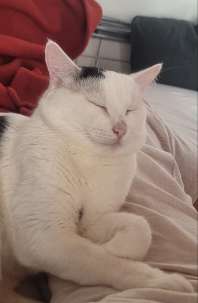 Milo