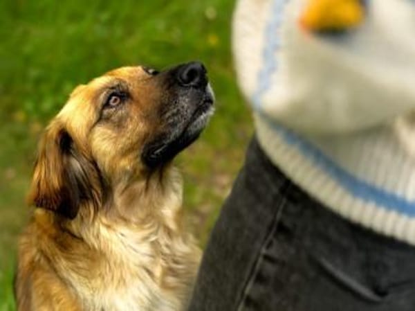 Lulu sucht engen Familienanschluss