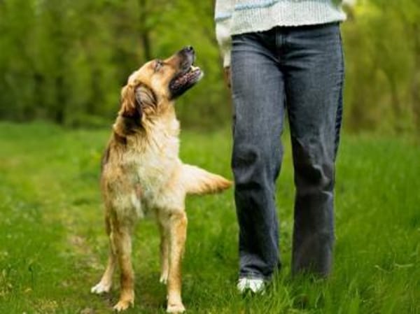Lulu sucht engen Familienanschluss