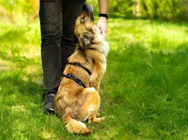Lulu sucht engen Familienanschluss