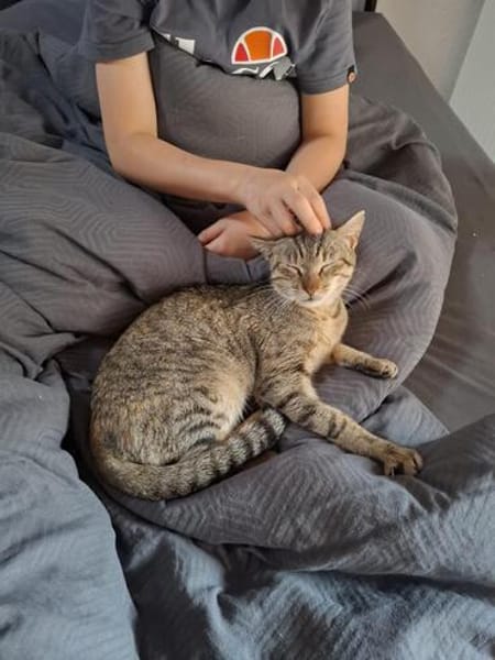 Meropi aus dem Tierschutz