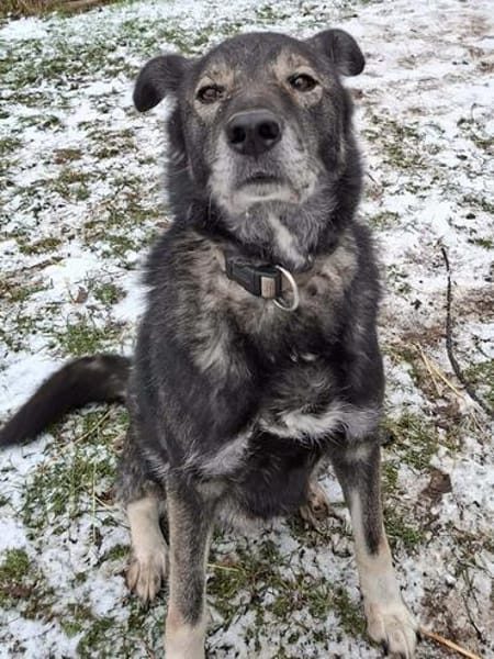Marlo will endlich ankommen im neuen 4ever home