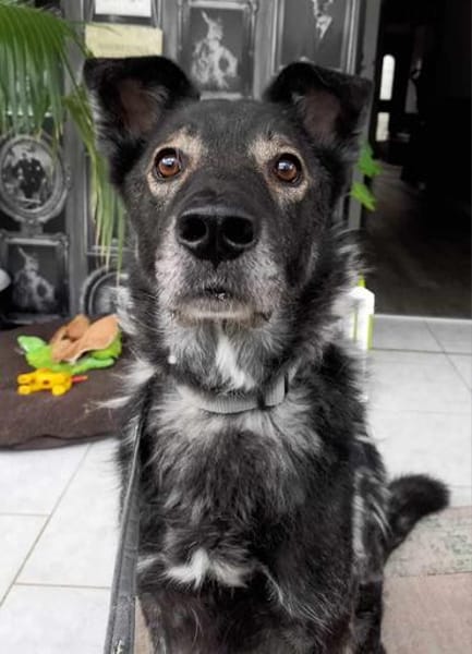 Marlo will endlich ankommen im neuen 4ever home