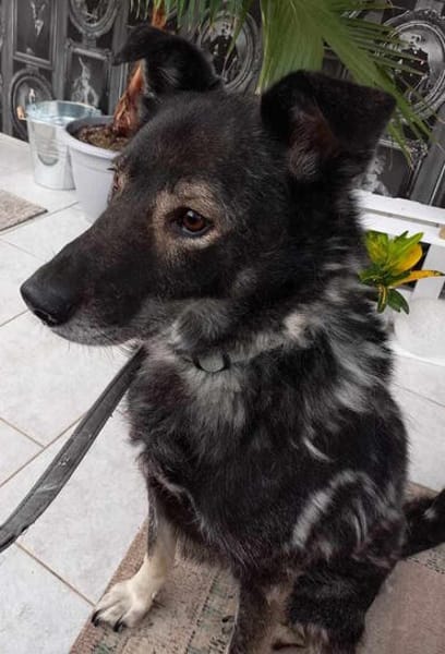 Marlo will endlich ankommen im neuen 4ever home