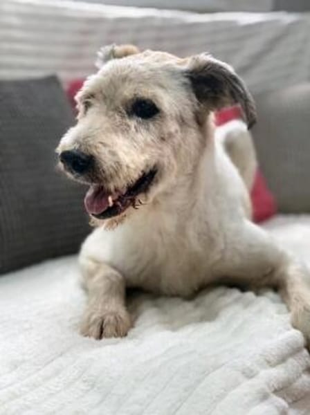 Bella möchte nochmal eine Familie