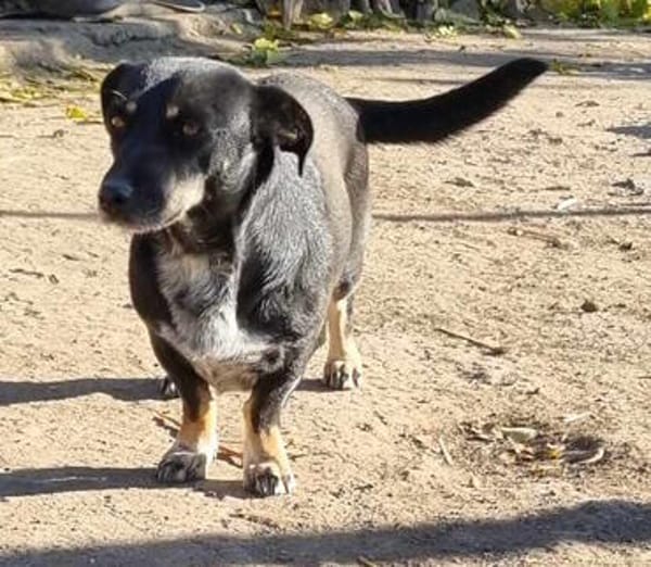 kleine Bety wartet auf Dich