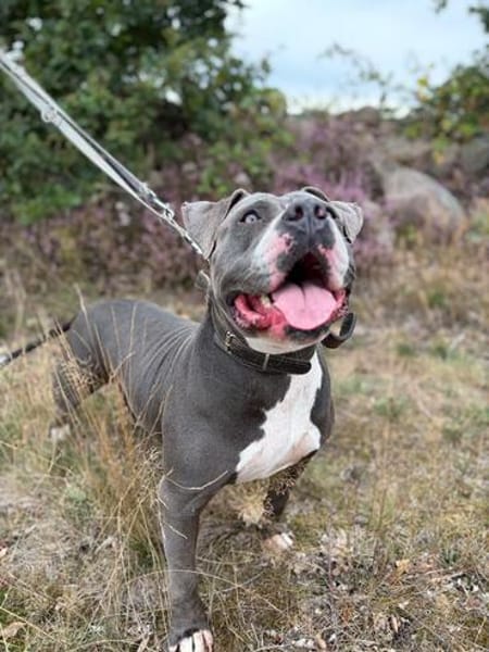 Rita - bereit für ein neues Leben - PLZ 39291