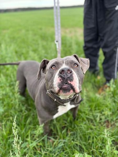 Rita - bereit für ein neues Leben - PLZ 39291