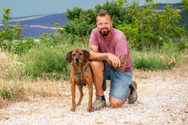 Lebensfroher Shaggy sucht seinen Jackpot!