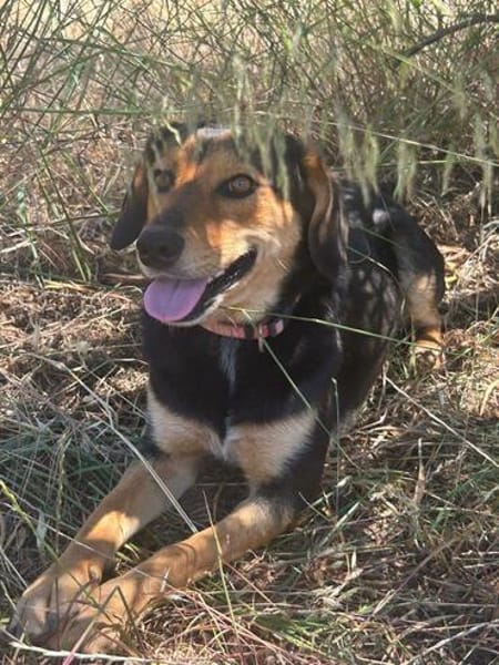 💟 STELA - GIBT ES EINE FAMILIE FÜR MICH