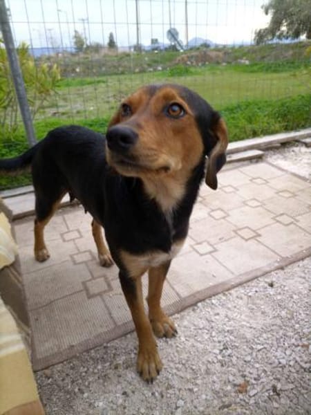 💟 STELA - GIBT ES EINE FAMILIE FÜR MICH