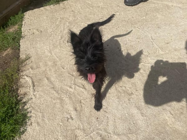 SELMA ( A TROUVE SA FAMILLE)
