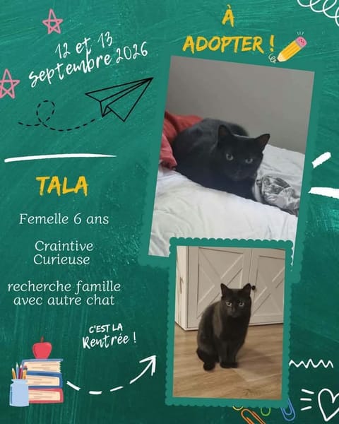 Tala
