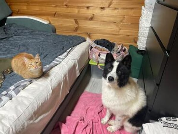 HERA ist das ideale Familienmitglied
