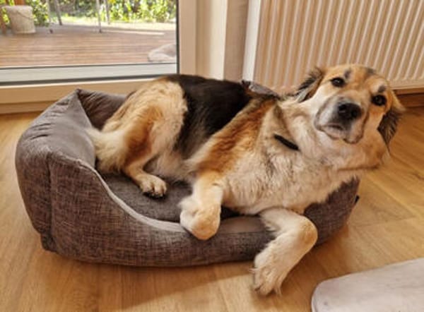 Neele ist so offen, fröhlich + so lieb!