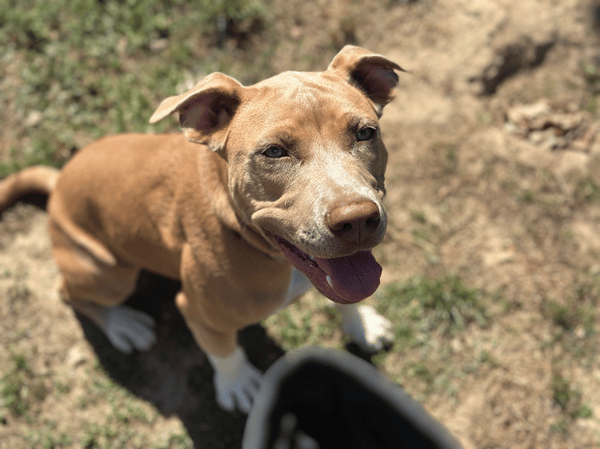 luna