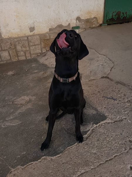 THANOS (Hogar De Paz)