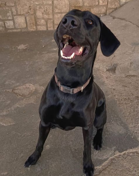 THANOS (Hogar De Paz)