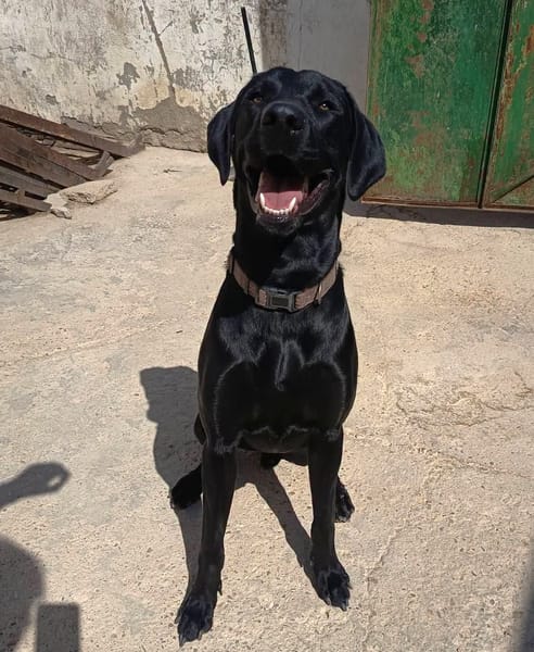 THANOS (Hogar De Paz)