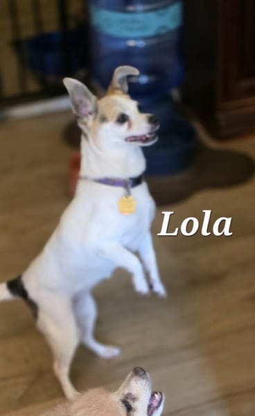 LOLA