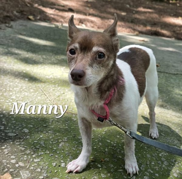 MANNY