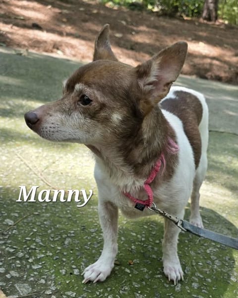 MANNY