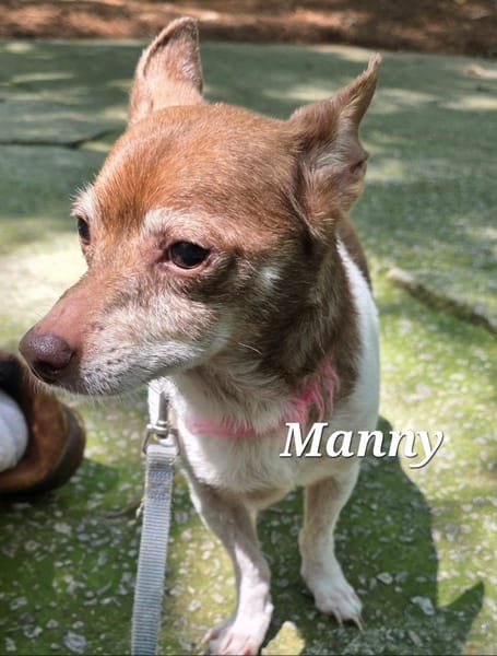 MANNY