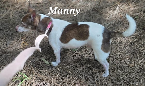 MANNY