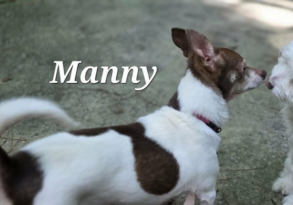 MANNY