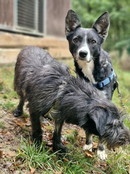 Salome sucht ihre Familie ❤