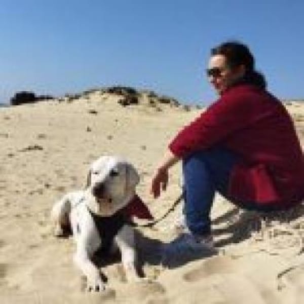 Jerry, liebenswerter Hundemann, ca.9 Jahre