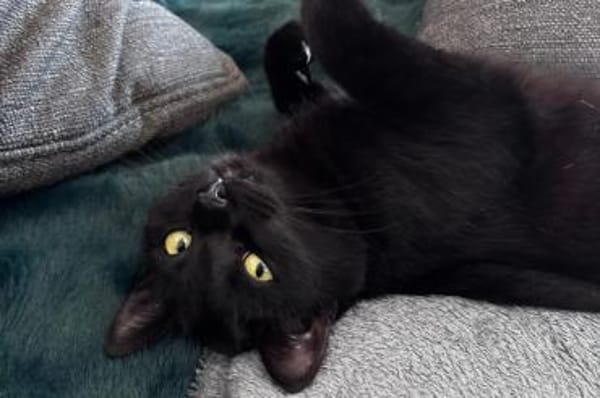 Mia...