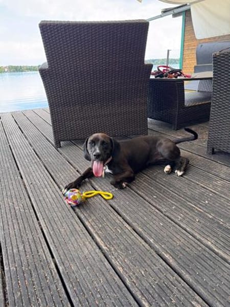 🐾 SABINE HAT ES ENDLICH GESCHAFFT 🐾