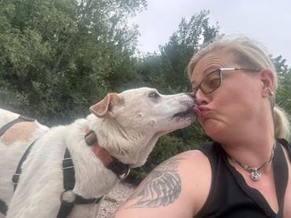 Coco, verschmust, neugierig, freundlich