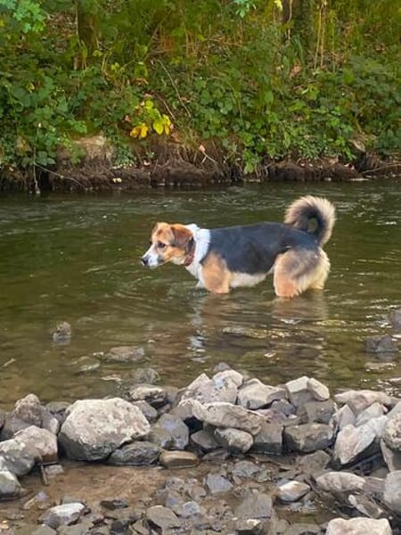 NORA auf PS in 97535 Wasserlosen