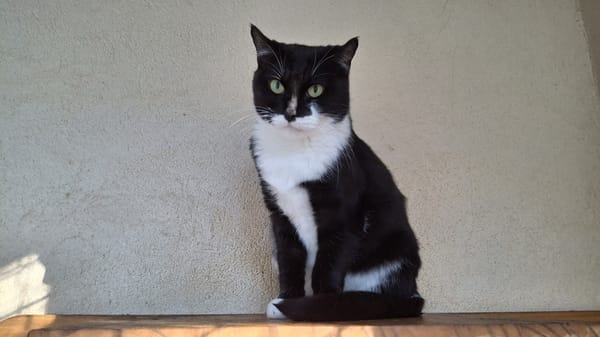 Onyx (Réservée)