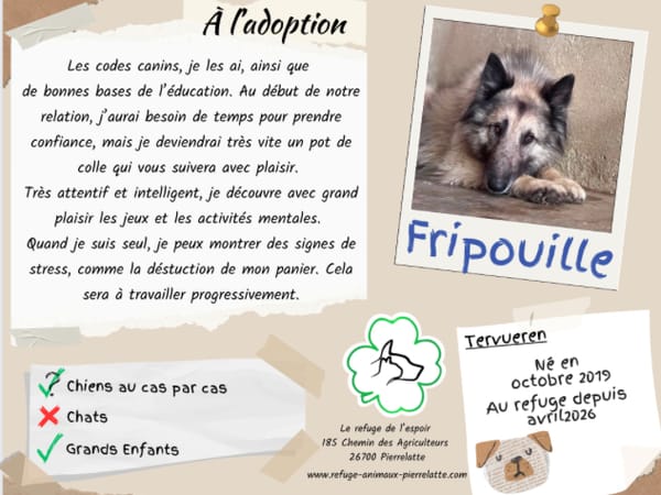 Fripouille